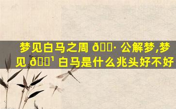 梦见白马之周 🌷 公解梦,梦见 🌹 白马是什么兆头好不好
